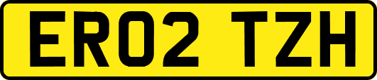 ER02TZH
