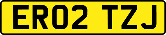 ER02TZJ
