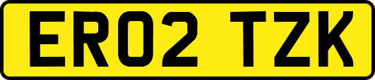 ER02TZK