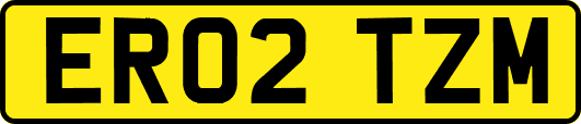 ER02TZM