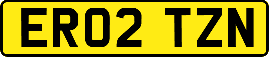 ER02TZN
