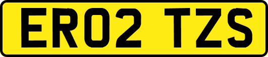 ER02TZS