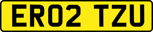 ER02TZU