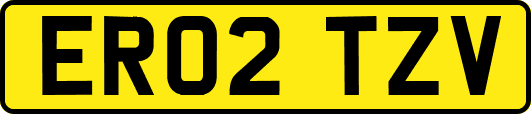ER02TZV