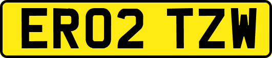 ER02TZW