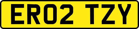 ER02TZY