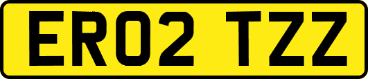 ER02TZZ