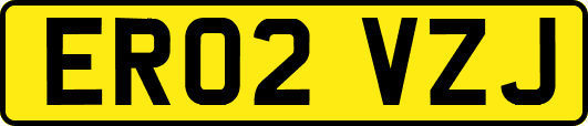 ER02VZJ