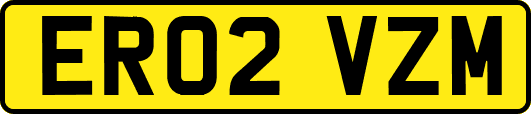 ER02VZM