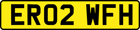 ER02WFH