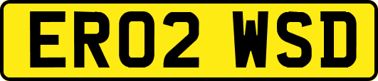 ER02WSD