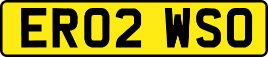ER02WSO
