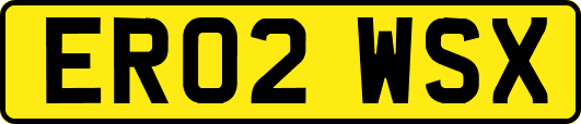 ER02WSX