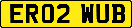 ER02WUB