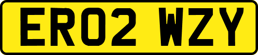 ER02WZY