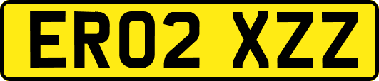 ER02XZZ