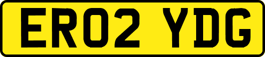 ER02YDG