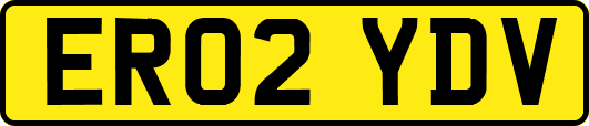 ER02YDV