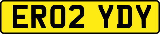ER02YDY