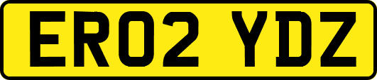 ER02YDZ