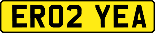 ER02YEA