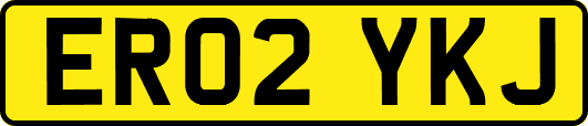 ER02YKJ