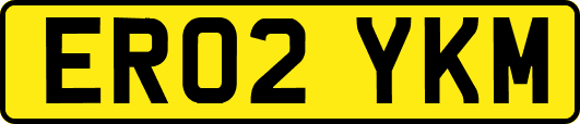 ER02YKM