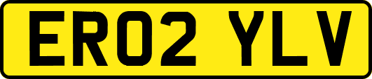 ER02YLV