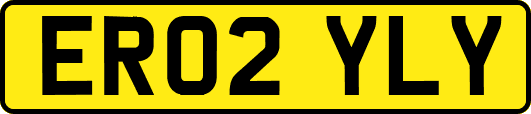 ER02YLY