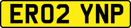 ER02YNP