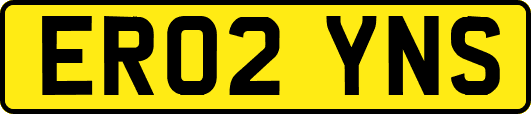 ER02YNS