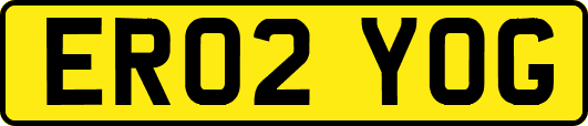 ER02YOG