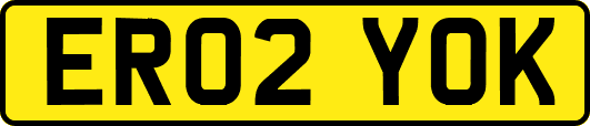 ER02YOK