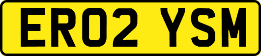 ER02YSM