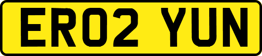ER02YUN