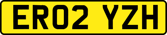 ER02YZH