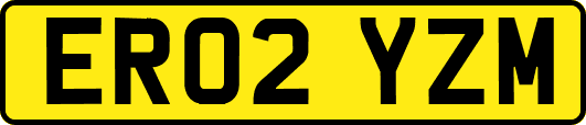 ER02YZM