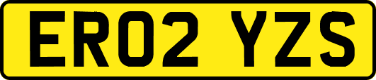ER02YZS