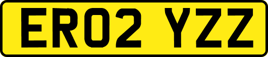 ER02YZZ