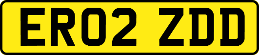 ER02ZDD