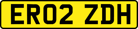 ER02ZDH