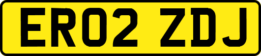 ER02ZDJ