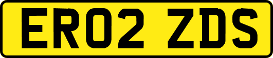 ER02ZDS