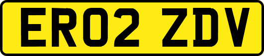 ER02ZDV