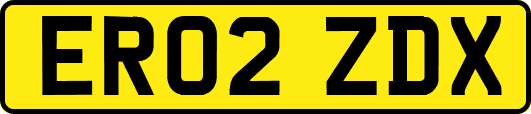 ER02ZDX