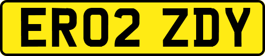 ER02ZDY