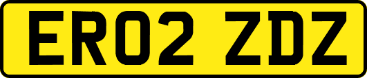 ER02ZDZ