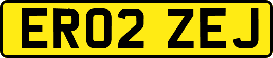 ER02ZEJ