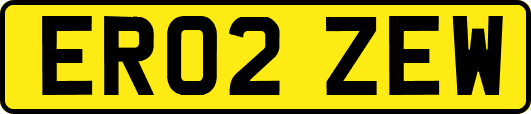 ER02ZEW