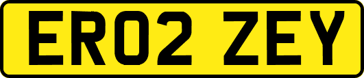 ER02ZEY